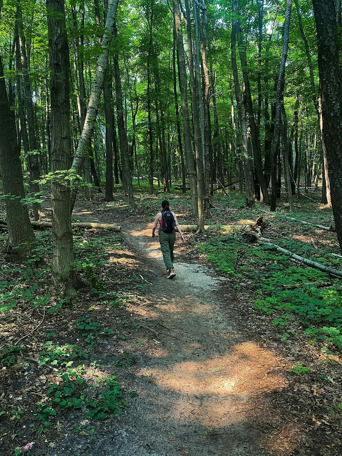A person walks along a heavily wooded trail.